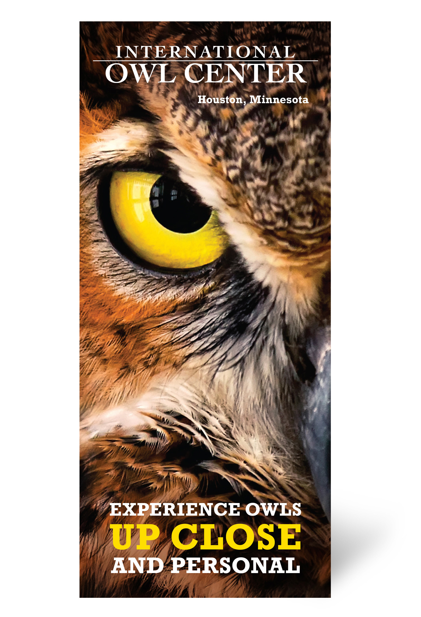 International Owl Center brochure
