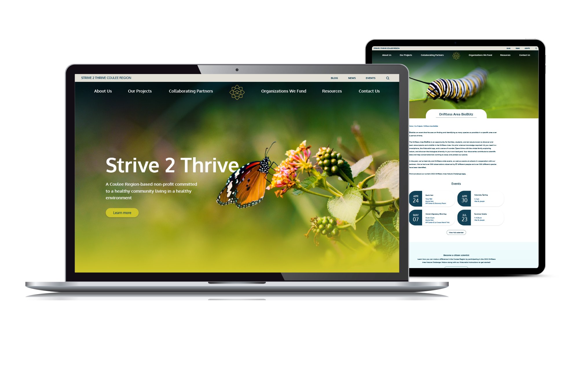 Pages of the Strive 2 Thrive website created by Vendi Advertising displayed on laptop and tablet screens