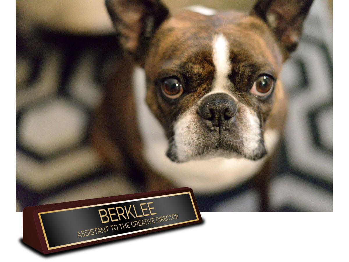Berklee - assistant to the creative director