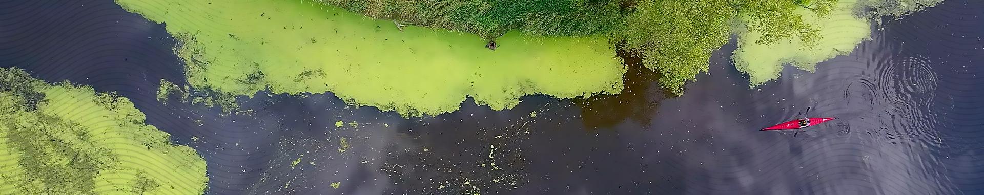 Aerial view of kayaker in red kayak navigating Mississippi River backwaters framed by trees and algae
