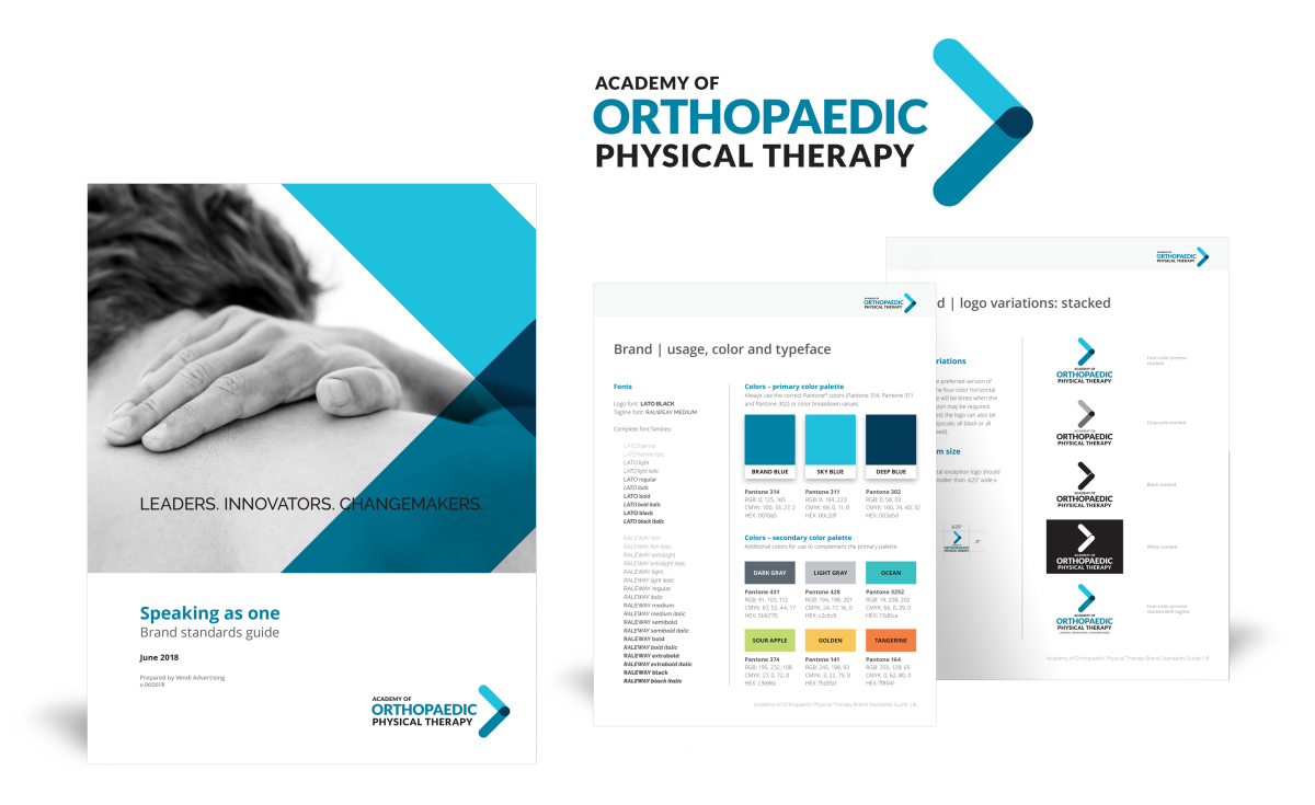 Academy of Orthopaedic Physical Therapy Brand Guide